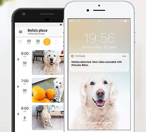 Розумна годівниця з камерою Petcube Bites Matte Silver для домашніх тварин купити