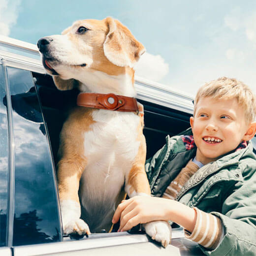 Ошейник для собак с держателем для AirTag iLoungeMax Leather AirTag Dog Collar размер 41 – 58 × 4 см