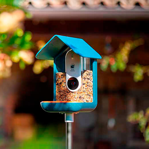 Технічні характеристики розумної годівниці з камерою Bird Buddy для птахів