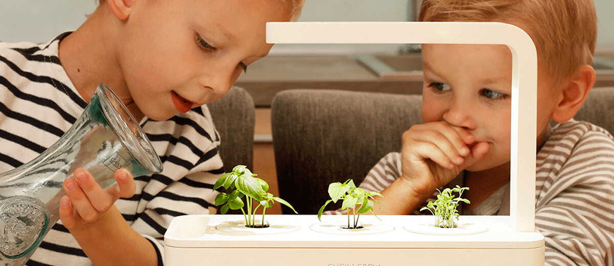 Умный сад Click&Grow Smart Garden 3