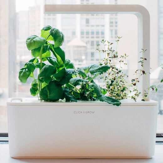 Умный сад Click&Grow Smart Garden 3