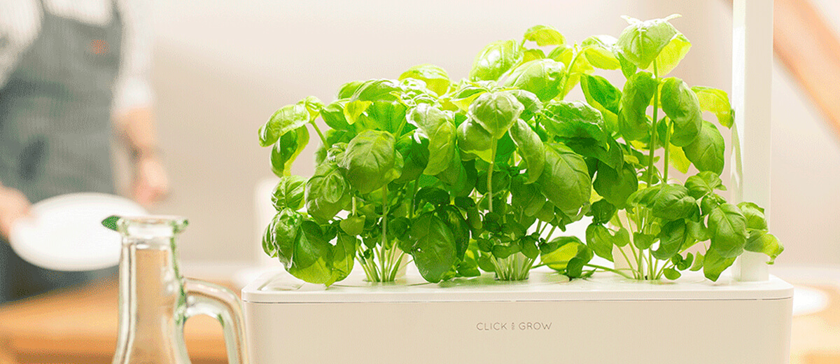 Умный сад Click&Grow Smart Garden 3