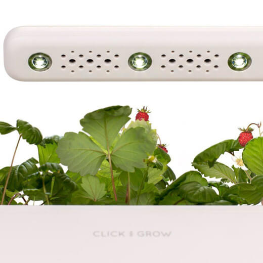 Умный сад Click&Grow Smart Garden 3