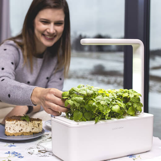 Умный сад Click&Grow Smart Garden 3