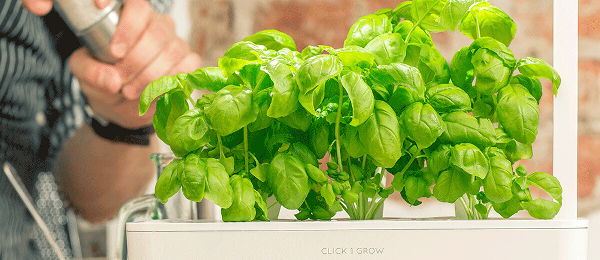 Умный сад Click&Grow Smart Garden 3