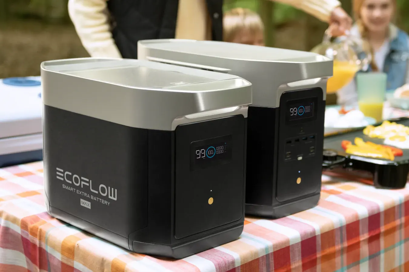 Портативна електростанція EcoFlow DELTA Max Portable Power Station Black 2000W ціна