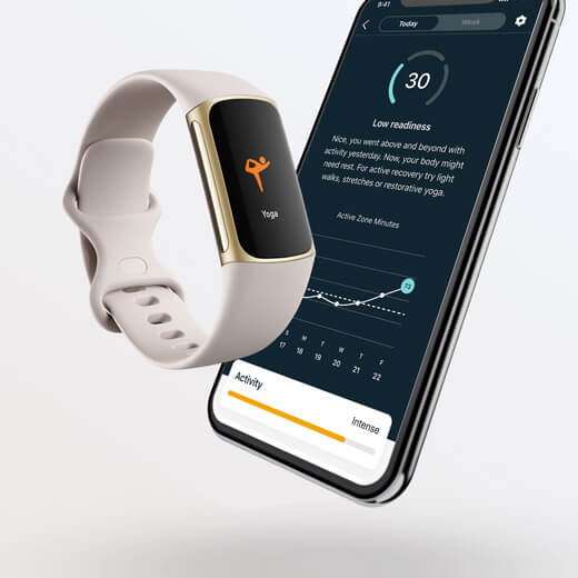 FitbitPay Фитнес-браслет Fitbit Charge 5 Steel Blue