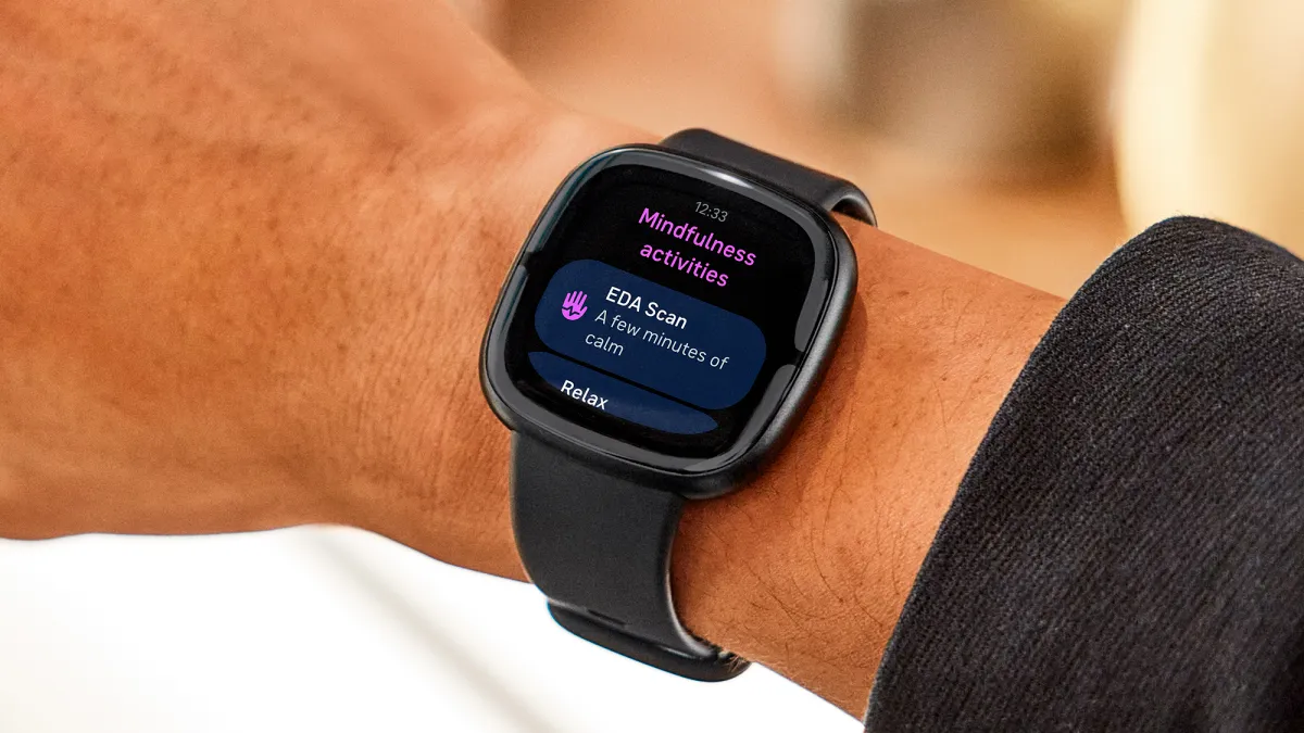 Фитнес-браслет Fitbit Sense 2 Shadow Grey/Graphite Aluminum купить