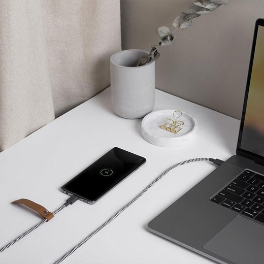 Зарядный кабель Native Union Belt Cable Zebra USB-C to Lightning 1.2 m для iPhone | iPad