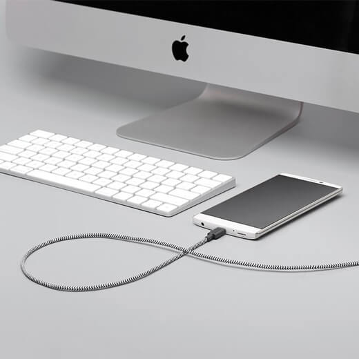 Зарядний кабель Native Union Belt Cable USB-C to USB-A 1.2m Zebra