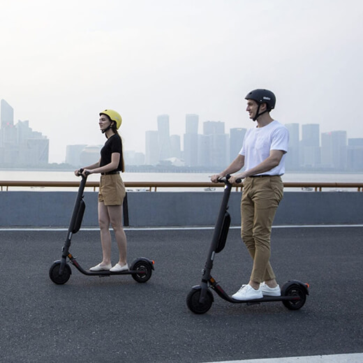 Электросамокат Ninebot by Segway E45E універсальний
