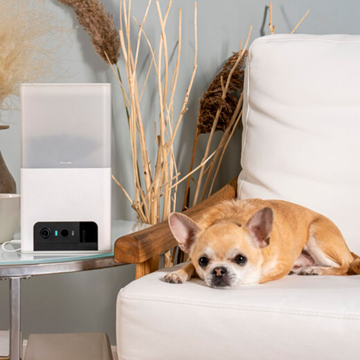 Умная кормушка с камерой Petcube Bites 2 Lite для домашних животных характеристики