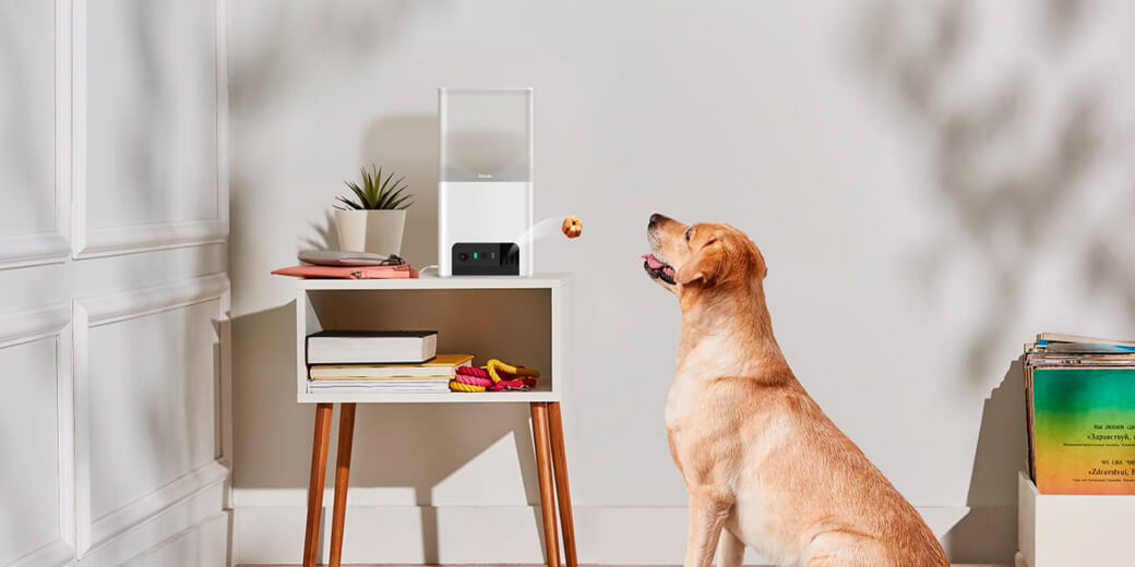 Умная кормушка с камерой Petcube Bites 2 Lite для домашних животных с дистанционным угощением