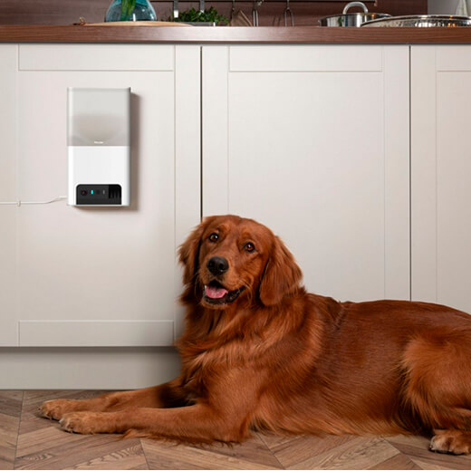 Умная кормушка с камерой Petcube Bites 2 Lite для домашних животных купить