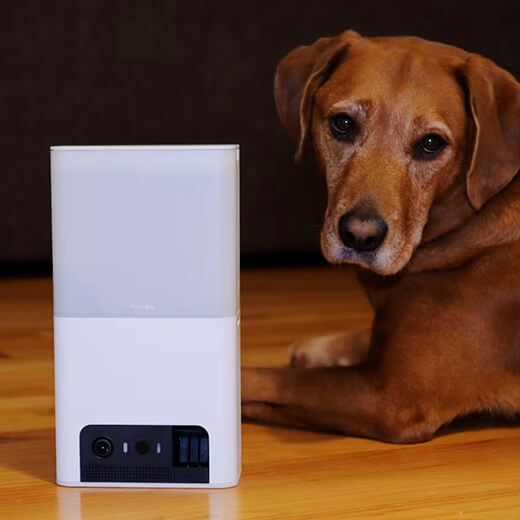 Умная кормушка с камерой Petcube Bites 2 Lite для домашних животных простая установка