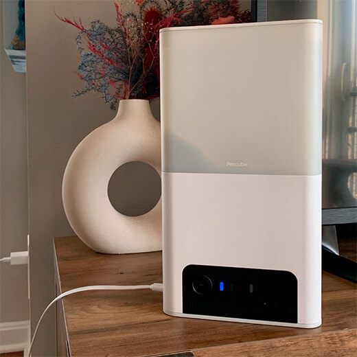 Умная кормушка с камерой Petcube Bites 2 Lite для домашних животных совместимость