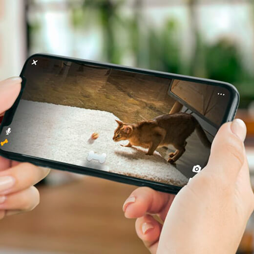 Умная кормушка с камерой Petcube Bites 2 Lite для домашних животных с широкоугольной камерой