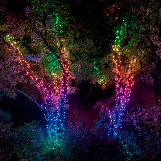 Світлодіодна смарт-гірлянда Twinkly Strings RGB-100 (8 м)