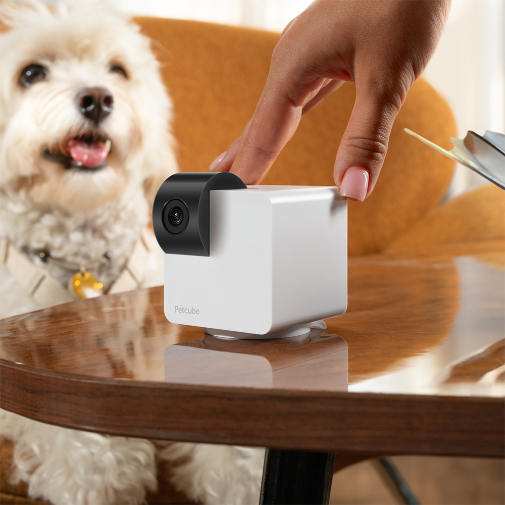 Розумна камера відеоспостереження з обертом на 360&deg; Petcube Cam 360 для домашніх тварин