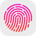 tochid touchid